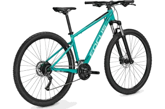Focus WHISTLER 3.6