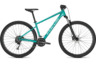 Focus WHISTLER 3.6