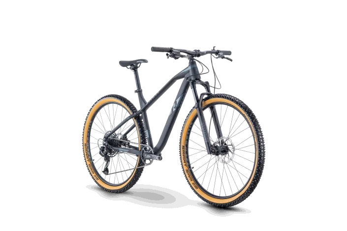 MTB 29 Raymon HardRay Nine 6.0