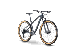 MTB 29 Raymon HardRay Nine 6.0