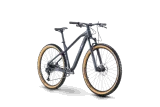 MTB 29 Raymon HardRay Nine 6.0