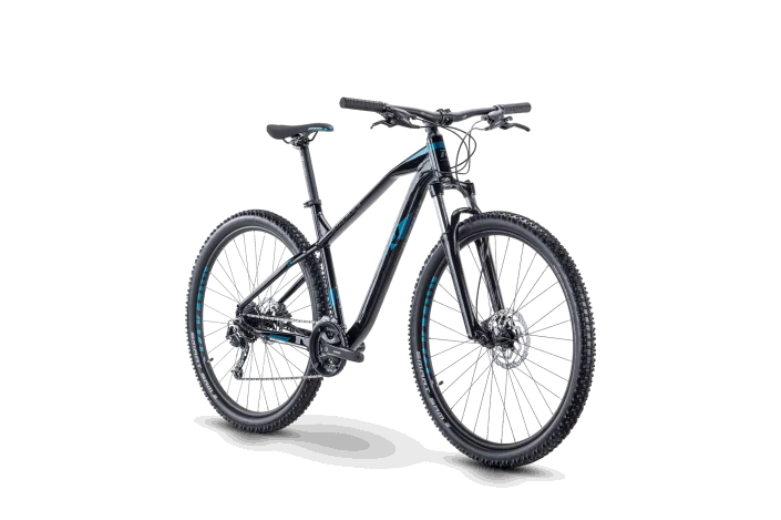 MTB 29 Raymon HardRay Nine 3.0