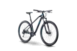 MTB 29 Raymon HardRay Nine 3.0