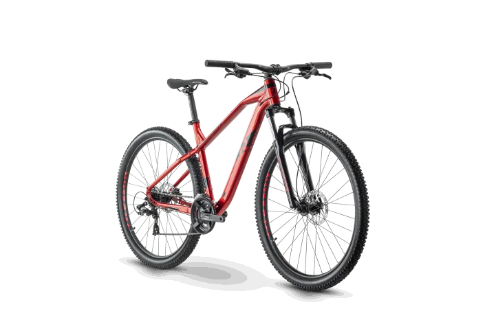 MTB 29 Raymon HardRay 2.0