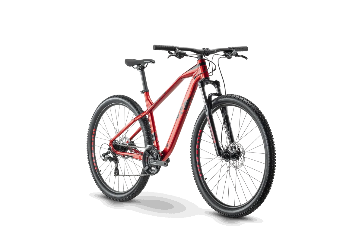 MTB 29 Raymon HardRay 2.0