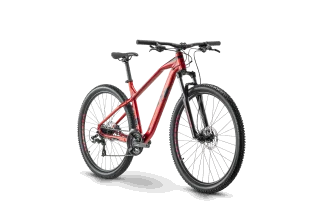 MTB 29 Raymon HardRay 2.0