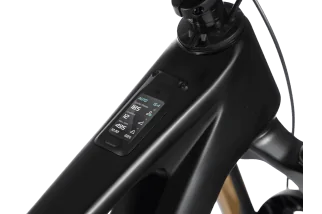 Whistle AXR C10.6
