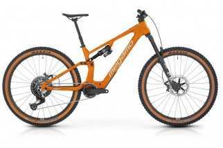 Reason CBR 05 2026