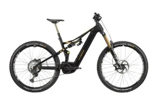 Whistle B-Rush C12.5