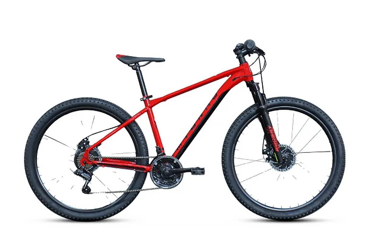 MTB ALTURA 29"