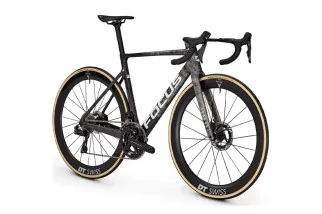 Focus Izalco max 9.9 2026