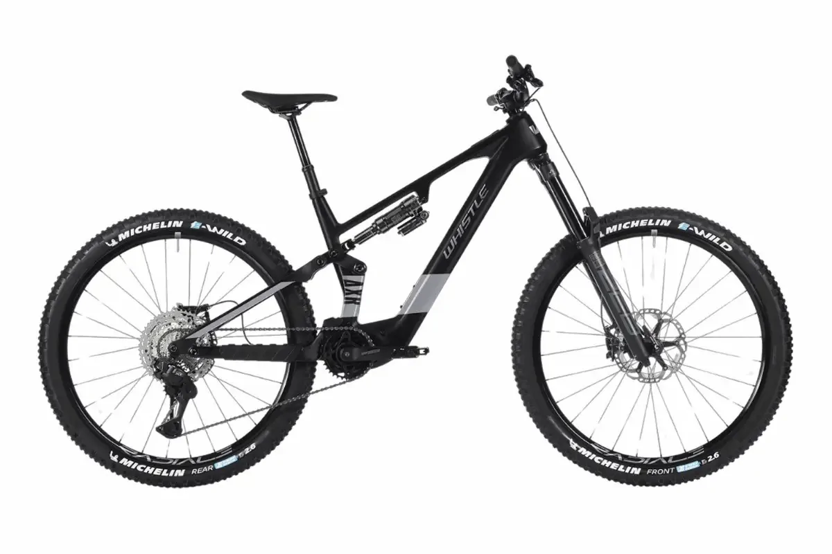 Whistle AXR C8.6
