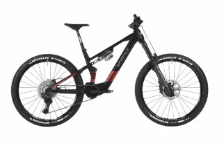 Whistle AXR C8.6