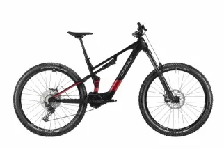 Whistle AXR C6.6