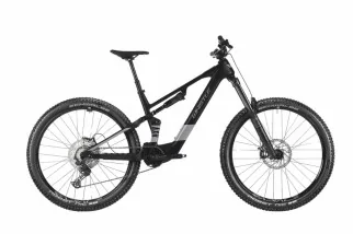 Whistle AXR C6.6