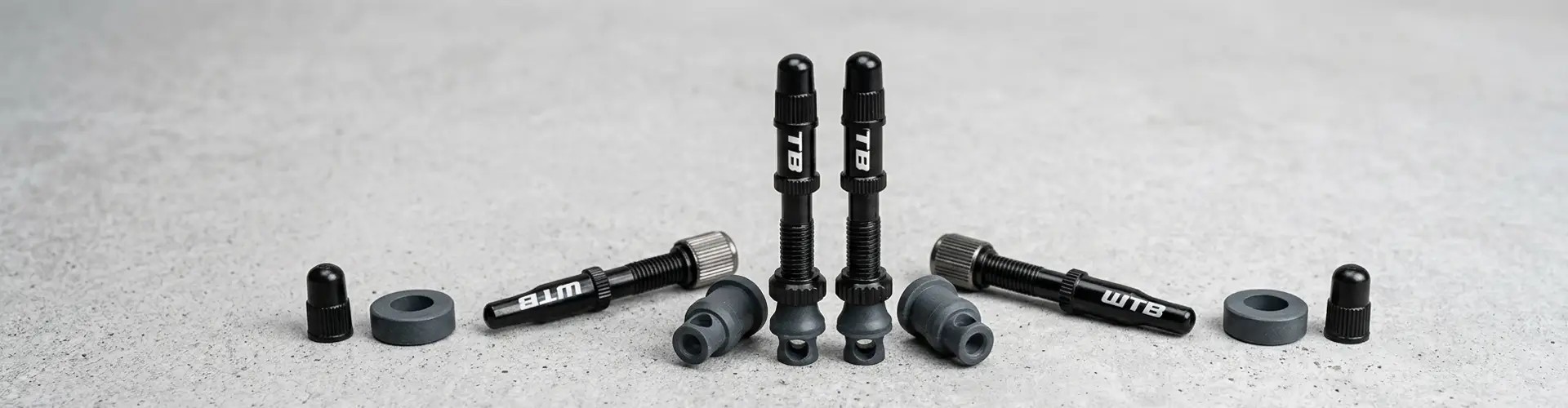 Valvole Tubeless