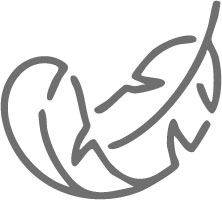 pluma.jpg