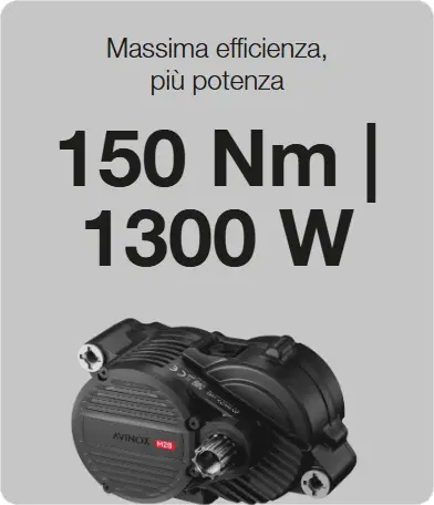 motore 150nm 1300w